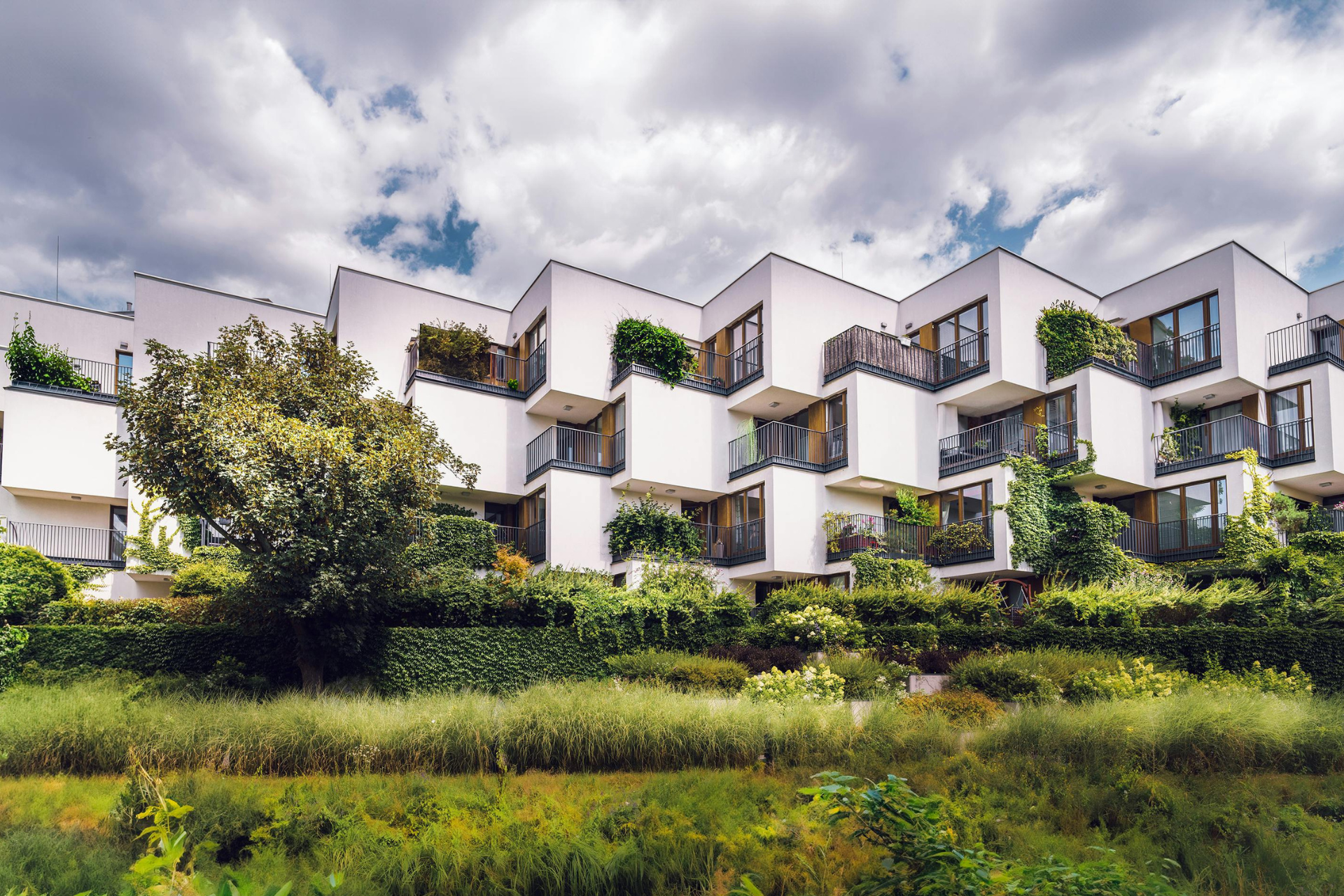 Read more about the article Sustainability, ESG & Marketing: How Green Credentials Can Be Your Competitive Edge